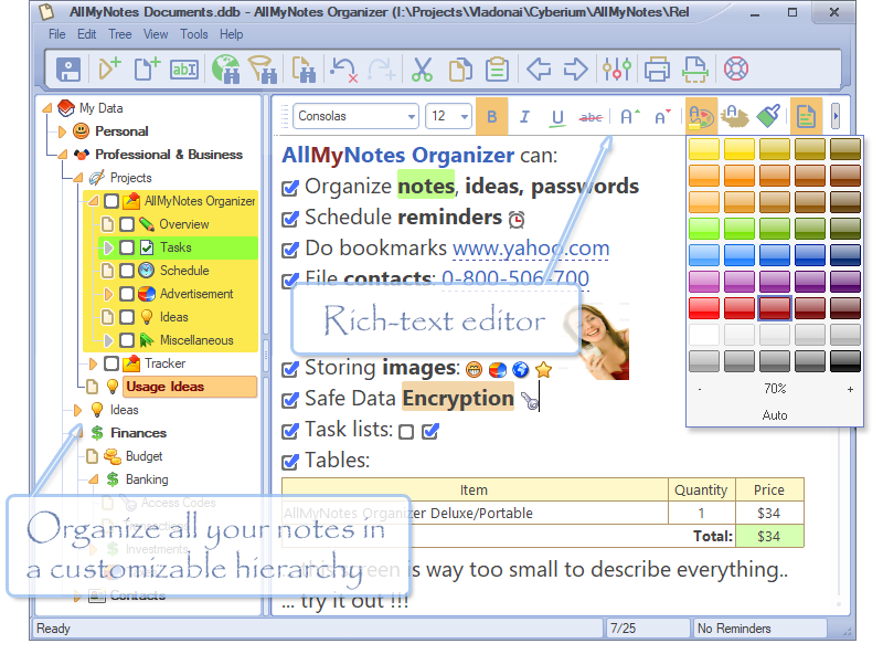 برنامج إدارة المعلومات وتنظيمها AllMyNotes Organizer Deluxe 4