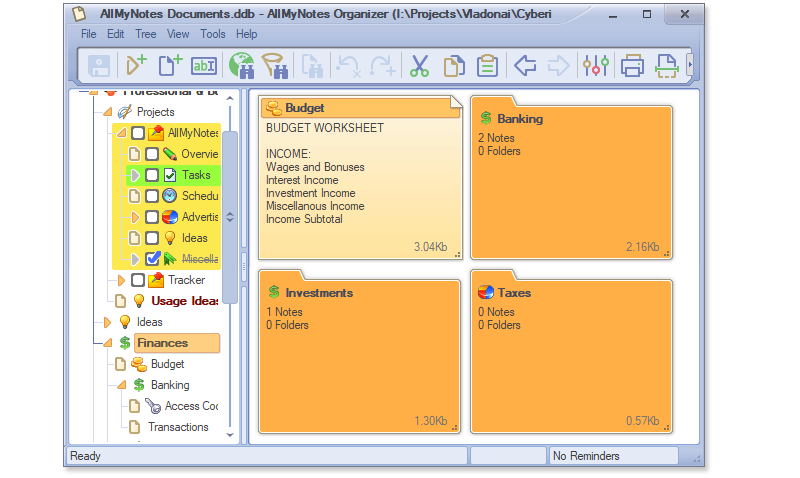 برنامج إدارة المعلومات وتنظيمها AllMyNotes Organizer Deluxe 4