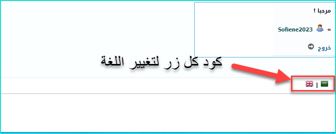أزرار تغيير اللغة